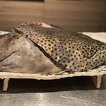 イル アオヤマ - 