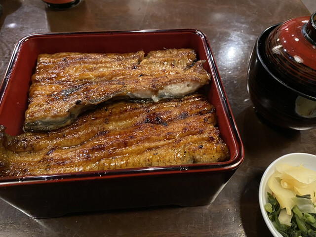 うなぎ いつから 高級 うなぎ いつから 高級 Gambar Waw うなぎ いつから 高級 うなぎ いつから 高級 Gambar Waw