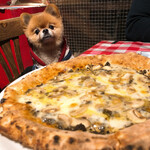 ピッツェリア ピッキ - 