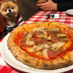 ピッツェリア ピッキ - 