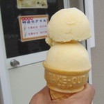 たこ八 - 甘さを抑え食感がシャリシャリ　　さっぱりしたアイスは旨い