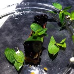 コミナセマコ - ミントを収穫