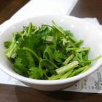 西安刀削麺酒楼 - パクチー・香菜