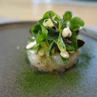 フィエルテ - 赤海老