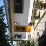 天然酵母・パン工房 みなみ風 - 