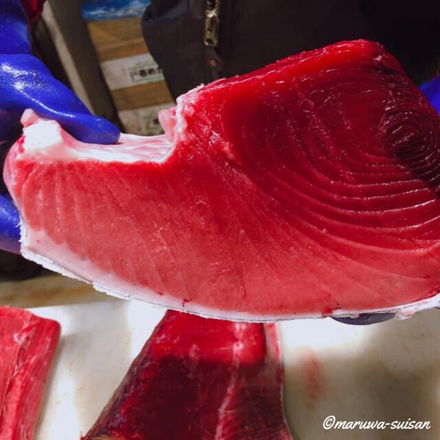 丸和水産 - 岩手飯岡（その他）