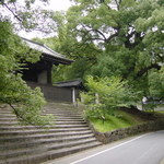 Rengetsudiya - 青蓮院から当店への道