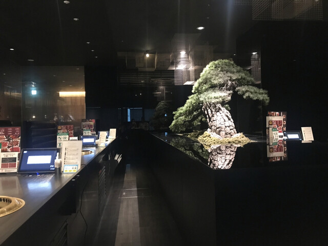 あぶりや 梅田店 東梅田 焼肉 食べログ あぶりや 梅田店 東梅田 焼肉 食べログ
