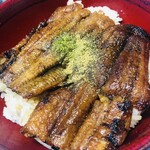 Uosan Kitagunikaidou Honten - 鰻丼です。これも200g超えの大物でした