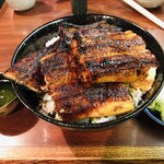 イチビキ - 鰻丼　特上　上面アップ