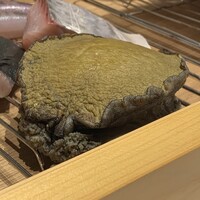 HAGI - 17-8年もののエゾアワビ