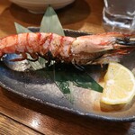 プロレス居酒屋　がむしゃら - 海老の塩焼き(350円)