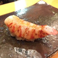 鮨 いとう - 車海老 昆布締め