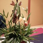 花仙庵 仙仁温泉 岩の湯 - 