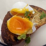 Higher Ground  - Poached Eggs on Toast