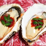 KAKIYA シェル＆シュリンプ - 