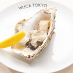 WUCA TOKYO - 