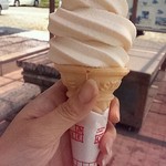 Michi No Eki Takaoka - ●醍醐ビタミンソフトクリーム　250円●
