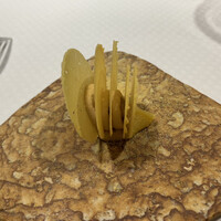 ラール・エ・ラ・マニエール - 