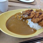 東京大学 中央食堂 - 大盛はなかなかのボリューム。カレーもそうだけど、ヒレカツ旨かったなあ。