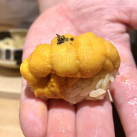 鮨 一 - ・北海道産 馬糞うに