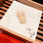 天ぷら酒房 西むら - 才巻海老　頭