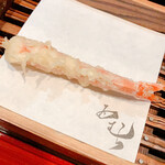 天ぷら酒房 西むら - 車海老