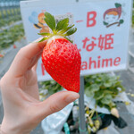 姫路ハートフル観光農園 - 