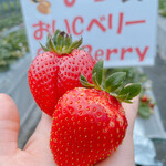 姫路ハートフル観光農園 - 