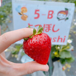 姫路ハートフル観光農園 - 