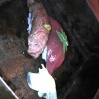春秋ツギハギ 日比谷 - 和牛と鰹の握り