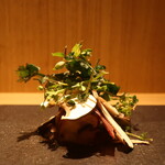 RISTORANTE IL NODO - ブラウンマッシュルーム 鎌倉畑の朝摘み野草 インサラータ