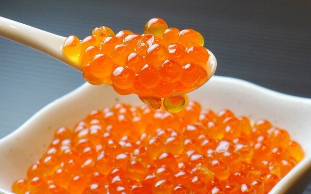 藤井水産 - 根室（海鮮）の写真