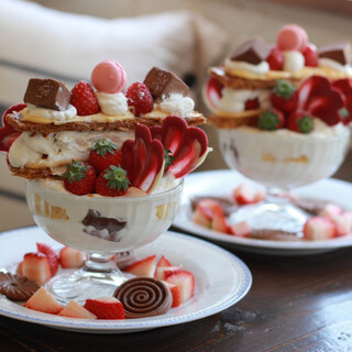 ミルクブッシュ_0