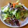 フォルツァ - 料理写真:野菜サラダ