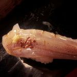 乙女寿司 - 赤イカ (ケンサキイカ) の生ゲゾ