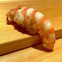 鮨 さかい - 車海老（天草）～車海老には温度を上げた赤酢のシャリが合うんです。シャリとネタの微妙な温度加減まで調整する繊細さが、一流江戸前鮨の奥深さを垣間見ることができる。
                