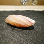 島津 - カスゴ鯛