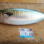 おさかな専門店 魚鶴 - 