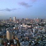 店内から見た風景