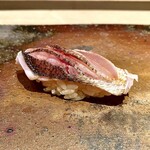 菊鮨 - カマス（京都）〜飾り包丁と炙りが食欲を唆る。