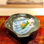 菊鮨 - 虎河豚刺し（玄界灘）〜薄切り、皮に鴨頭葱を巻き、唐墨を薬味に舌にのせると玄界灘が押し寄せるよう。