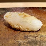 菊鮨 - アオリイカ（金崎）〜もちもちとした甘味と食感。