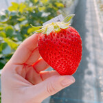 姫路ハートフル観光農園 - 