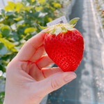 姫路ハートフル観光農園 - 