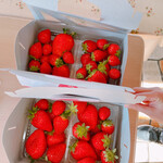 姫路ハートフル観光農園 - 