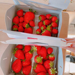 姫路ハートフル観光農園 - 