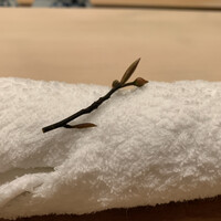 すし処 めくみ - 