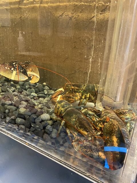 海老料理専門 プラウン ロブスターバー えびっとる 新栄町 シーフード ネット予約可 食べログ 海老料理専門 プラウン ロブスターバー えびっとる 新栄町 シーフード ネット予約可 食べログ