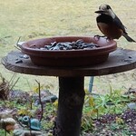 くつきそば 永昌庵 - 